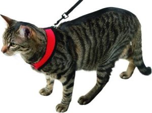 Kerbl Szelki z lamówką + smycz 120cm dla kota Czerwone 2