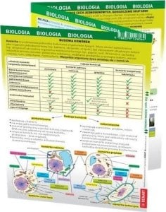 Demart Maxi ściąga - Biologia 1