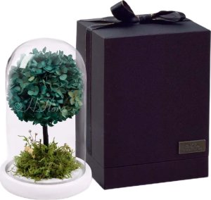 ToPrezent.pl Drzewko Szczęścia - Hortensja + Pudełko Prezentowe 2