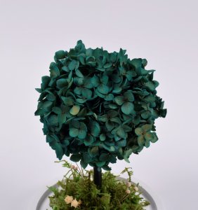 ToPrezent.pl Drzewko Szczęścia - Hortensja + Pudełko Prezentowe 4