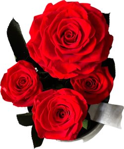 ToPrezent.pl Ogród w Szkle - 5 Zakonserwowanych Czerwonych Róż 2