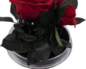 ToPrezent.pl Ogród w Szkle - 5 Zakonserwowanych Czerwonych Róż 5