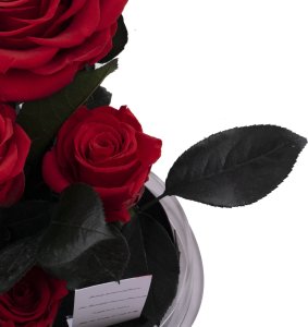 ToPrezent.pl Ogród w Szkle - 5 Zakonserwowanych Czerwonych Róż 6