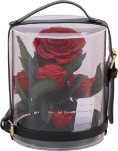 ToPrezent.pl Ogród w Szkle - 5 Zakonserwowanych Czerwonych Róż 7