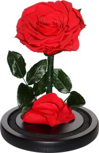 ToPrezent.pl Prawdziwa Czerwona Róża w Szklanej Kopule 3
