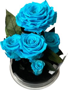 ToPrezent.pl Ogród w Szkle - 5 Zakonserwowanych Niebieskich Róż 2