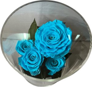 ToPrezent.pl Ogród w Szkle - 5 Zakonserwowanych Niebieskich Róż 3