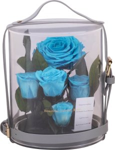 ToPrezent.pl Ogród w Szkle - 5 Zakonserwowanych Niebieskich Róż 4