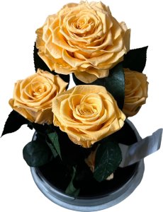 ToPrezent.pl Ogród w Szkle - 5 Zakonserwowanych Pomarańczowych Róż 2