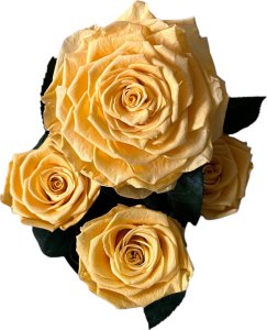 ToPrezent.pl Ogród w Szkle - 5 Zakonserwowanych Pomarańczowych Róż 3