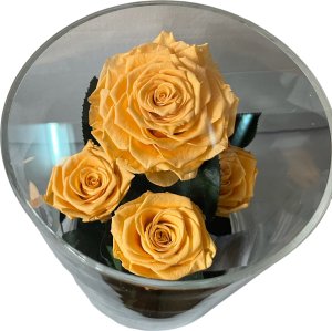 ToPrezent.pl Ogród w Szkle - 5 Zakonserwowanych Pomarańczowych Róż 5