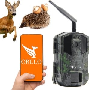 Kamera ORLLO Kamera leśna Orllo Huntercam 3 GSM Fotopułapka 1