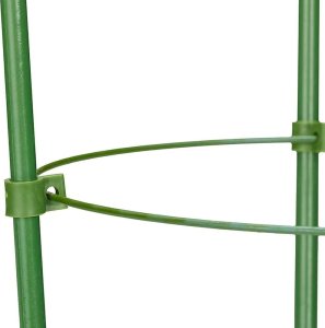Bradas Podpora pierścieniowa do roślin 75cm TYRP75 5