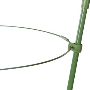 Bradas Podpora pierścieniowa do roślin 75cm TYRP75 7
