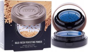 Smashbox , Halo Healthy Glow, Illuminating, Highlighter Palette, Golden Bronze, 5 g For Women 2