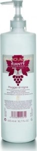 Bruno Vassari Kianty Experience Wine Therapy Tonik przeciwstarzeniowy z ekstraktem z winogron 500ml 1