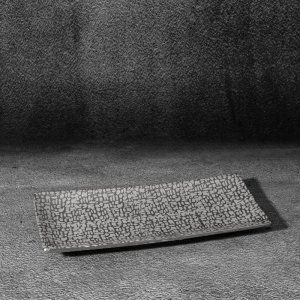 Eurofirany Nowoczesna patera ceramiczna RISO 39X17X3 srebrna x2 2