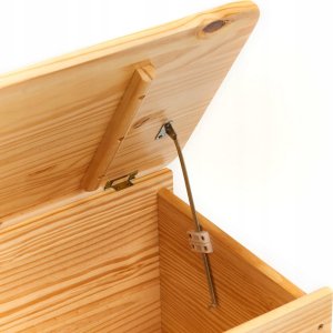 Zeller Skrzynia do przechowywania, organizer z pokrywą, 130L 4