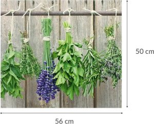 Zeller Szklana płyta ochronna LAWENDA na kuchenkę – duża, ZELLER 4