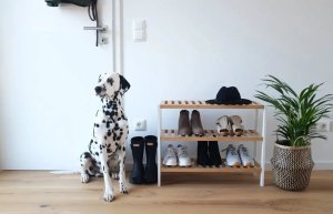 Zeller Biała szafka na buty z włókna bambusowego, szafka do przedpokoju, stojak na buty, regał na buty, ławka na buty, ZELLER 5