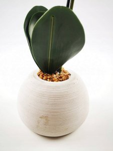 Atmosphera Kompozycja kwiatowa „Cementowy dotyk”- storczyk z ceramiczną doniczką, wysokość 50cm 3