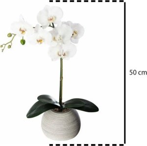 Atmosphera Kompozycja kwiatowa „Cementowy dotyk”- storczyk z ceramiczną doniczką, wysokość 50cm 4