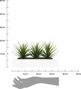 Atmosphera Sztuczna roślina, 3 x aloes w białej donicy, 31 cm 3