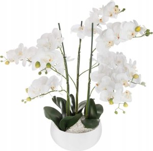 Atmosphera Sztuczna roślina ORCHIDEE, biała doniczka, 65 cm 1