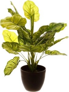 Atmosphera Sztuczna roślina ozdobna w doniczce, 45 cm, naturalna w dotyku 3