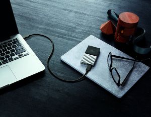 Dysk zewnętrzny SSD WD SSD My Passport 512 GB Srebrno-czarny (WDBK3E5120PSL-WESN) 6