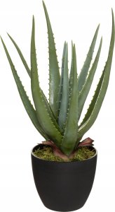 Atmosphera Sztuczny aloes REAL TOUCH, wys. 44 cm 1