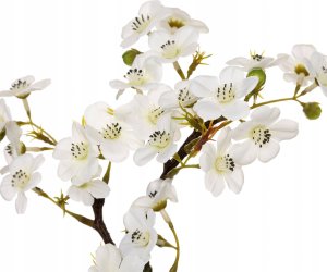 Atmosphera Sztuczny storczyk w doniczce, 26 cm 2