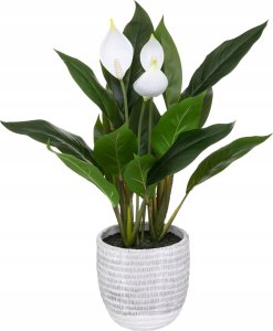 Atmosphera Sztuczny SKRZYDŁOKWIAT, 54 cm 1