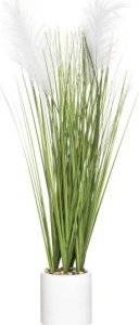 Atmosphera Sztuczna trawa ozdobna w cementowej doniczce, wys. 70 cm 1