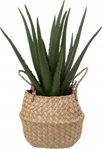 Atmosphera Sztuczna roślina ALOES w koszyku, 37 cm 1