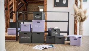 Zeller Pojemnik do przechowywania z pokrywką 25 x 35 x 20 cm 6