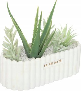 Atmosphera Sztuczne rośliny: aloes i sukulenty w ceramicznej doniczce Rivi, wys. 20 cm 1