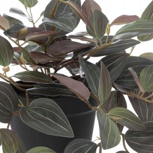 Atmosphera Sztuczna trzykrotka w doniczce, wys. 45 cm 3