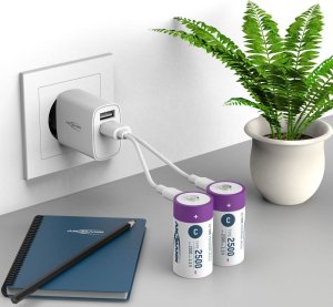 Ansmann ANSMANN 1313-0004 Li-Ion rechargeable batteries Baby C type 2500 (min. 2300 mAh) 2-pack box 10