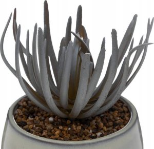 Atmosphera Sztuczny sukulent w doniczce CAF, wys. 18 cm 4