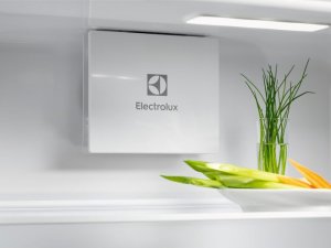 Lodówka Electrolux Electrolux LND5FE18S 4
