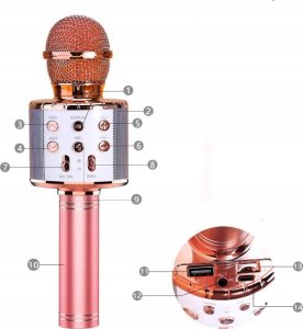Mikrofon Rosfix MIKROFON KARAOKE BLUETOOTH GŁOŚNIK TAŃCZĄCY KAKTUS 2
