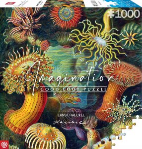 Good Loot Good Loot Puzzle: Ernst Haeckel - Sea Anemones 1