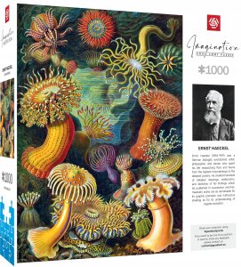 Good Loot Good Loot Puzzle: Ernst Haeckel - Sea Anemones 2