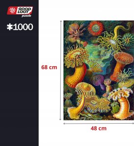 Good Loot Good Loot Puzzle: Ernst Haeckel - Sea Anemones 4