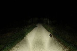 Lupine Lampka przednia do e-bike LUPINE SL X Shimano 2800 Lumenów, Dla silników Shimano, Obejma 35mm 15