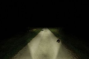 Lupine Lampka przednia do e-bike LUPINE SL X Brose 2800 Lumenów, Dla silników Brose, Obejma 35mm (NEW) 16