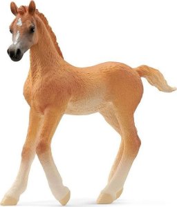 Figurka Schleich Schleich 13984 Źrebię czystej krwi arabskiej 1