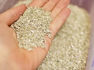 Żwirek dla kota Hilton 5 l 4