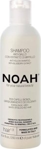 Noah Anti-Yellow Shampoo With Blueberry Extract szampon do włosów blond i siwych 250ml 1